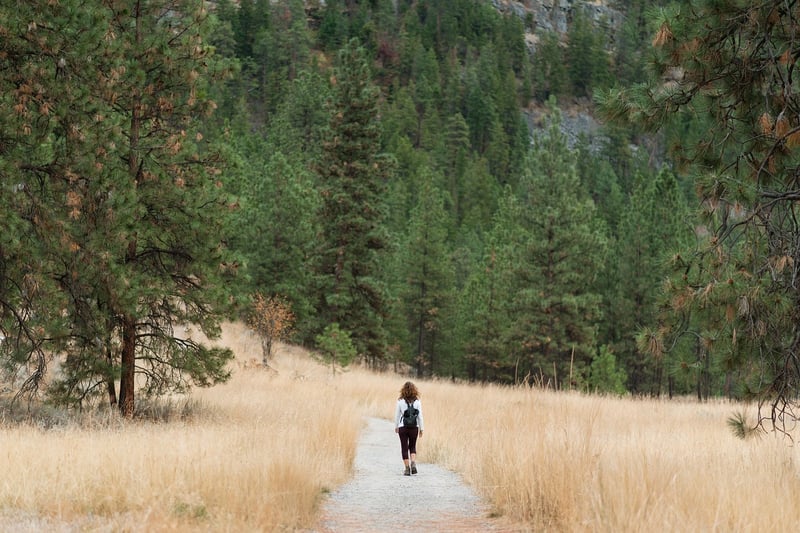 Hiking in Nature